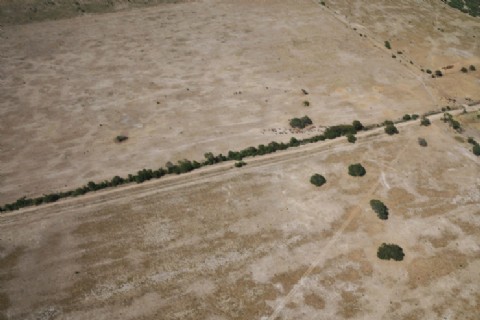 Economía declaró emergencia agropecuaria en la provincia