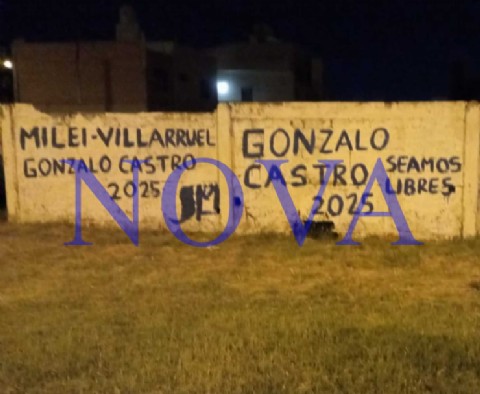 Dirigentes provinciales salieron con pintadas para posicionarse para el 2025 y detrás de la figura de Villarruel