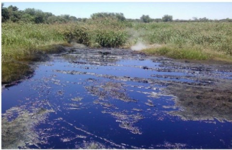 Juzgarán a directivos de Carboquímica por contaminación en el Río Paraná y sus humedales costeros
