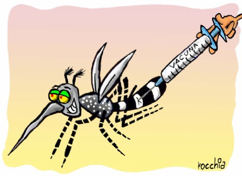 Santa Fe, epicentro del dengue: la provincia más golpeada del país en la temporada 2024-2025