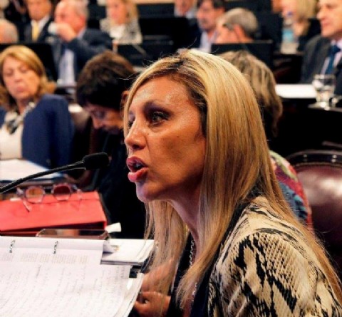 Sacnun: "Este proyecto busca empoderar a los mercados en un proceso de desregulación"