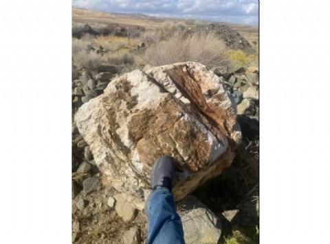 Oro en Santa Fe: el Gobierno no lo quiere, y tampoco deja que sea de otros