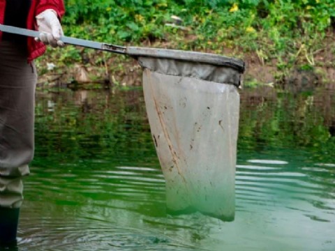 Desastre ambiental: el Gobierno de Pullaro admitió contaminación bacteriológica y bajo oxígeno en el río tras la lluvia