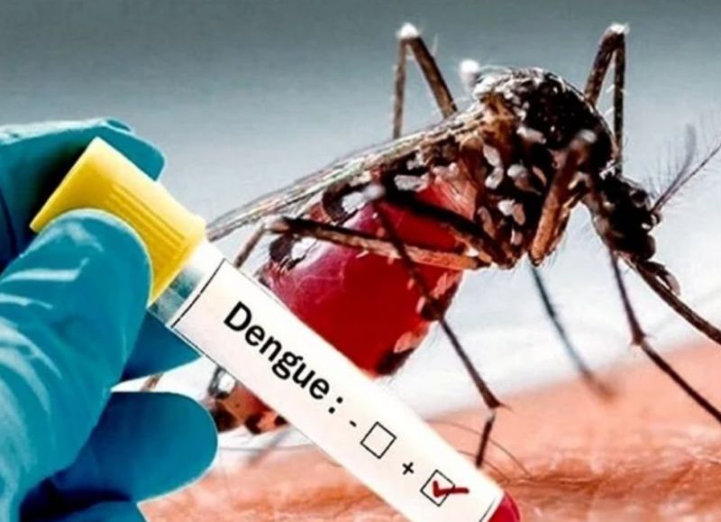 Alerta por el aumento de los contagios de dengue: se registraron más de 30 mil casos en todo el territorio provincial