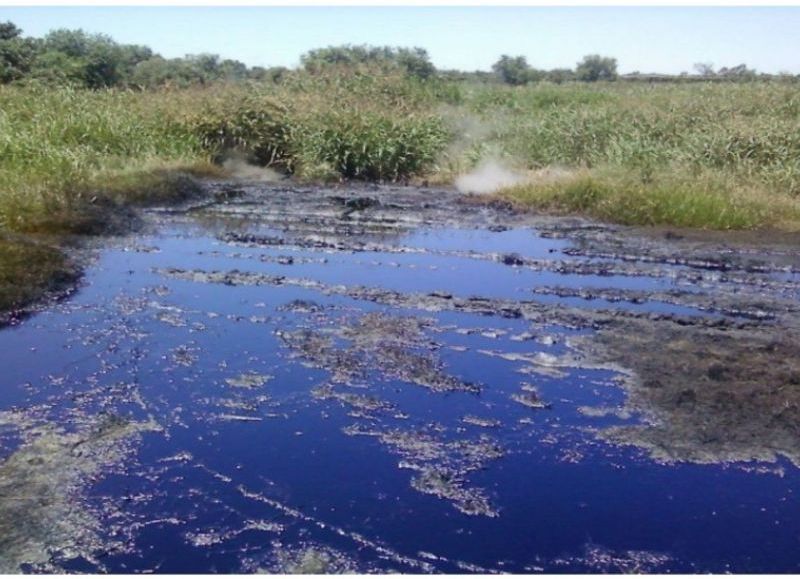 Juzgarán a directivos de Carboquímica por contaminación en el Río Paraná y sus humedales costeros