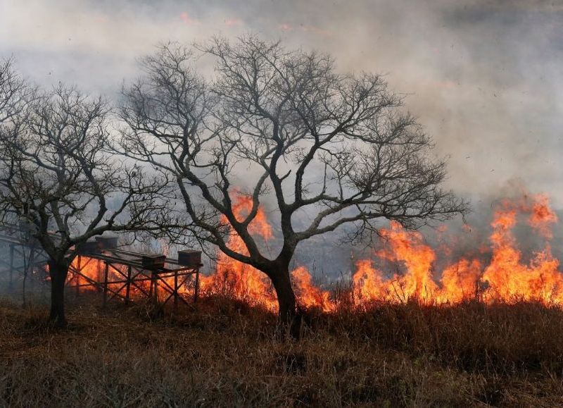 El Gobierno de Santa Fe pidió extremar los cuidados para la prevención de incendios forestales