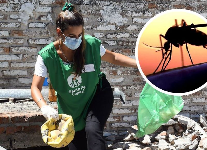 AUDIO | La provincia superó la barrera de los 11.000 casos de dengue