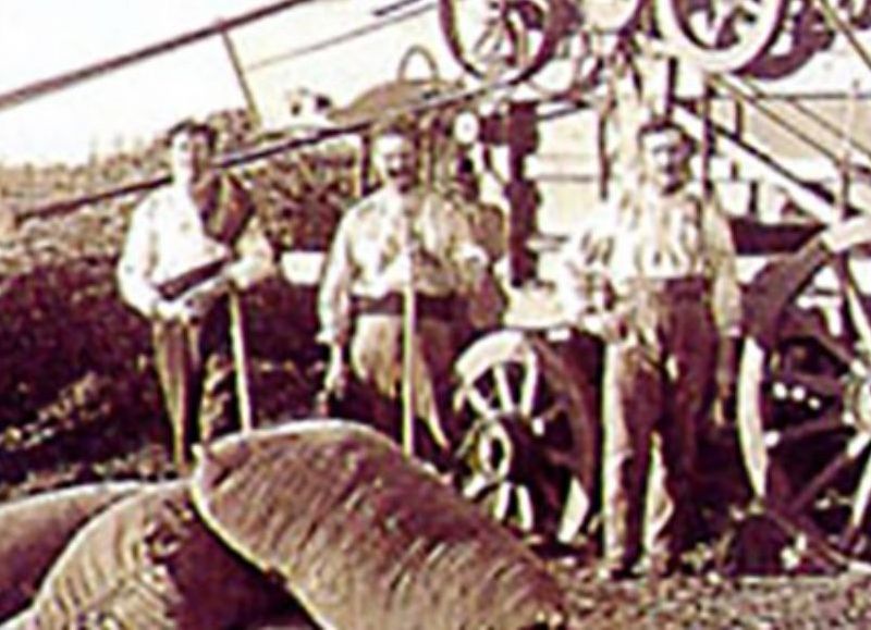 Primera exportación de trigo